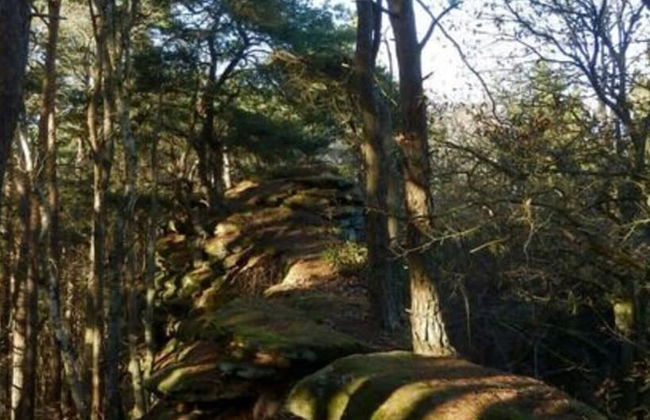 Holiday Apartment at the Linden Tree - Foto 8