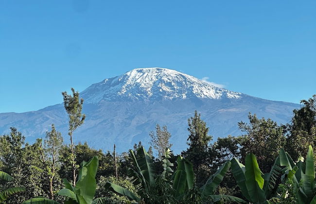 Shose Farmhouse Chalets & Campsite - Photo 58