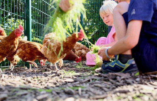 Bauernhof Wulff - Fewo "Amrum" - Foto 18