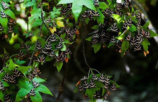 Rhodes Private Tours - Photo 6