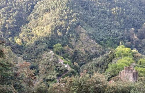 Lousã's Brown & White - Foto 14