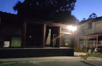 WITERICUS hospedaxe - Photo 15