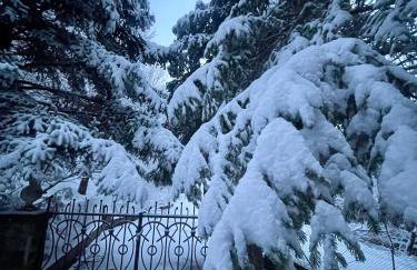 Chalet Leonard House in the wood - Foto 33