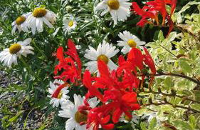 Gîte Esprit Mer - Foto 23