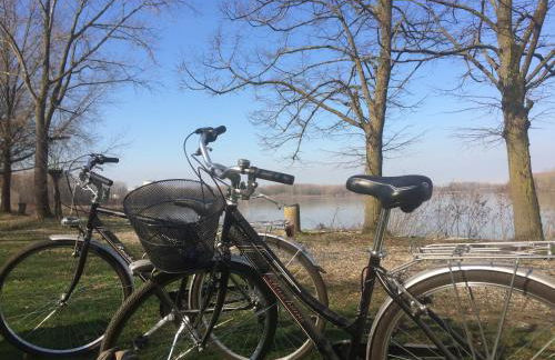 La Finestra sul Po - Agriturismo - Foto 78