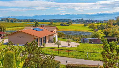 Weingut Geiger - Foto 2