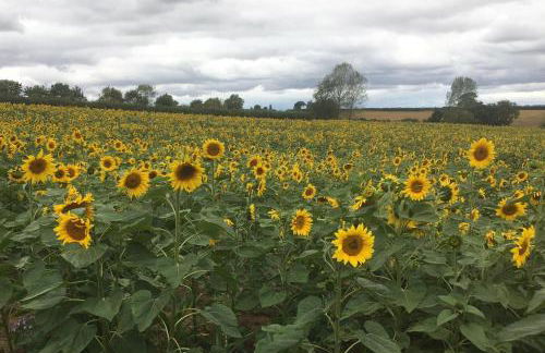 Virolet Barn - Foto 36