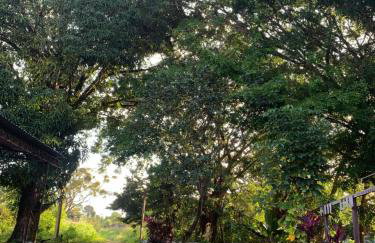 COP 30 - Sítio Paraíso Eco Pousada - Photo 2