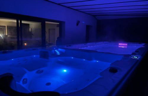 spa de nage et jacuzzi à Séverac d'Aveyron - Photo 3