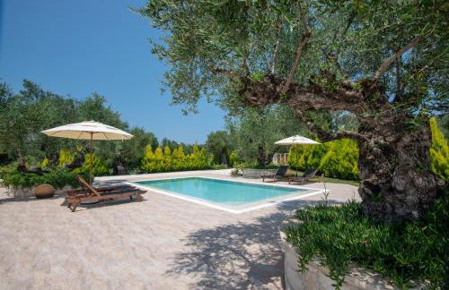 Villa Niva - Foto 13