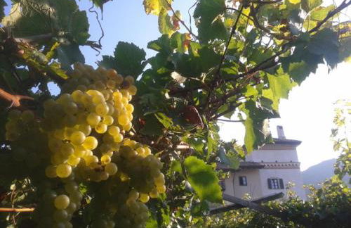 Residence La Colombera - Foto 61