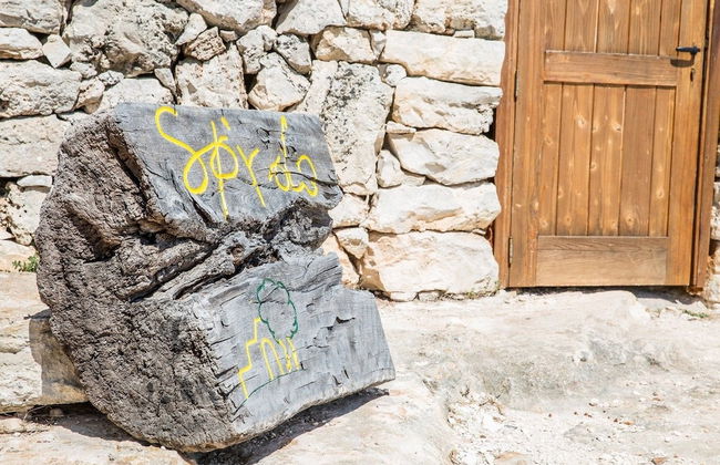 Azienda Agricola Spirdo - Foto 47