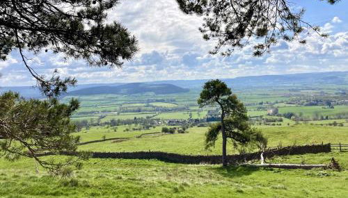 The Cart Shed - romantic hideaway with a view! - Foto 5
