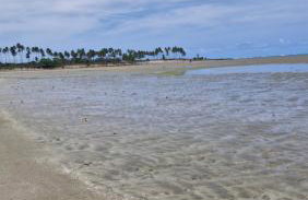 MSFlats Paripueira praia varanda c rede cozinha Wifi Ar split - Foto 76