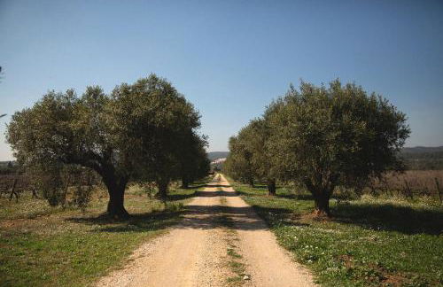 MASIA BARTOMEU Rural house between vineyards 2km from the beach - Foto 24
