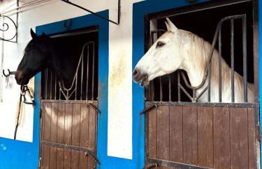 Casinha do Amor - Foto 16