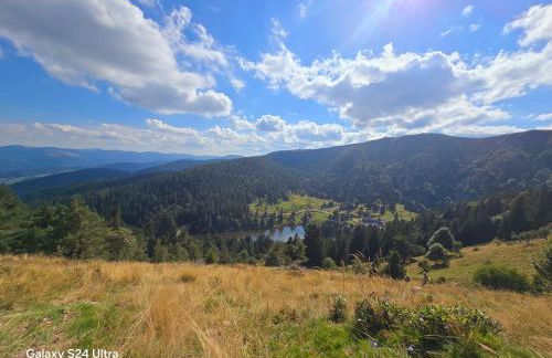 Gîte Haut Les Cœurs - Chalet dans les Hautes-Vosges - Foto 26