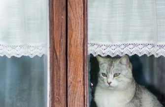 Agriturismo Selvella - Foto 34