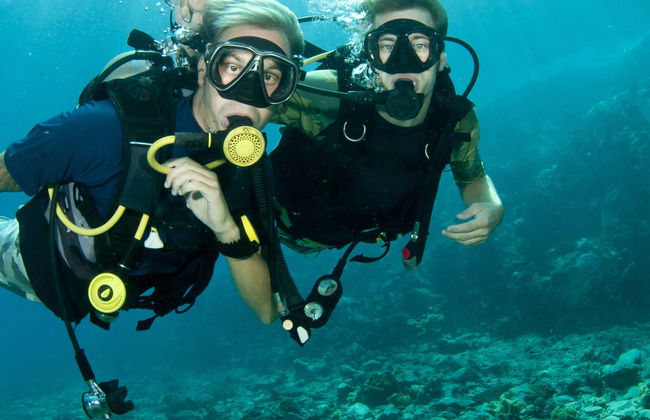 Bautismo de buceo en La Restinga - Foto 5