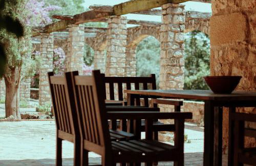 Mas Noguer - Foto 13