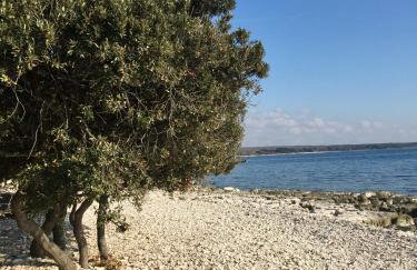 Apartment Enis - Photo 34