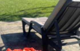 Quinta de VillaSete - Foto 52