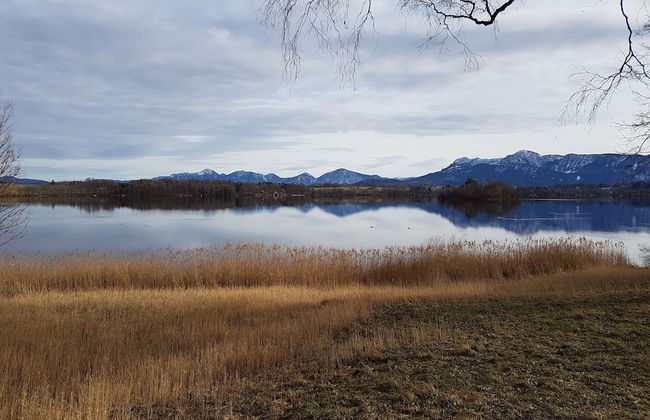 Villa Alpenpanorama - Foto 43