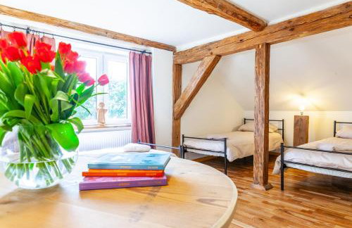 Zakątek Szczęścia Eko Agroturystyka - Foto 9