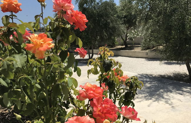 Cyan Icons Villas - Foto 58