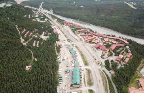 Denali Park Homestead - Foto 12