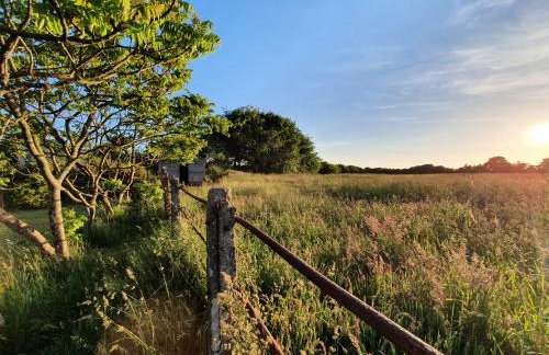 Cornwall Luxury Hot Tub Huts - Foto 31