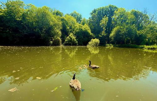 Sunridge Geodome with private Hot tub - Foto 43