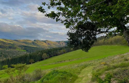 Maison de vigne rénovée à Langeac, nature et randonnées - FR-1-582-86 - Foto 9