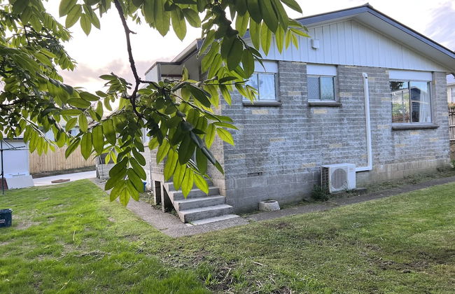 Ginkgo & Walnut - Foto 1