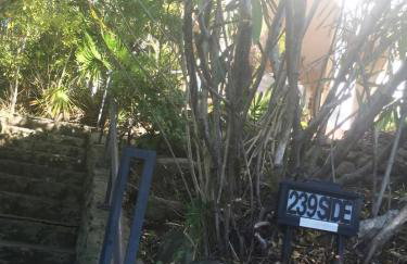 Serene Private Suite Patio Upscale Berkeley - Foto 39