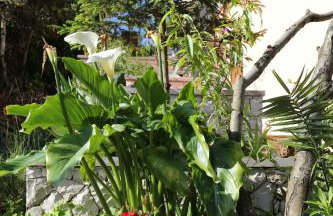 Apartment Tri Zala 4432b - Foto 10