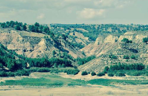 Cortijo Paraiso - Foto 48