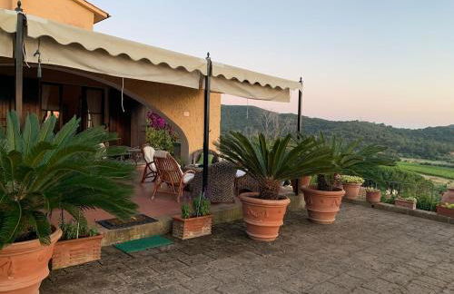 Villa Silvana - Foto 9