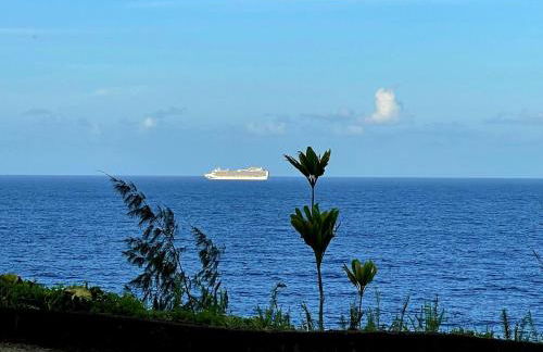 Oceanfront Treehouse at Hakalau with Kitchen - Foto 24