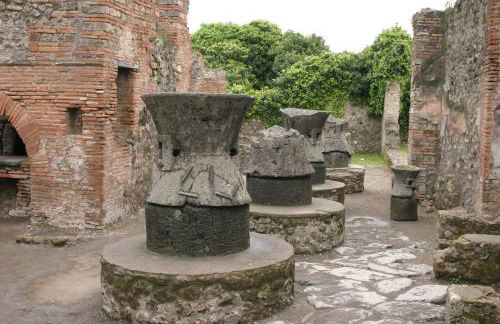 Gli Ulivi Agriturismo - Foto 152