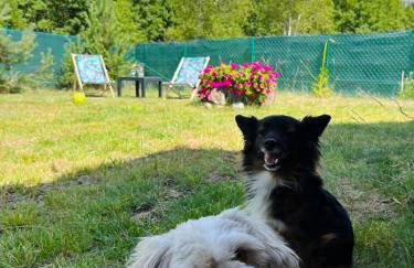 Apartament „Pod Zielonym Dachem” - Foto 23