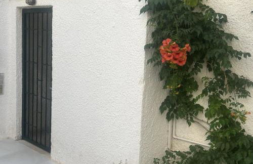 Apartment Xenia - Photo 39