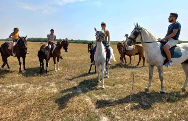 Bungalow Kuca Mukadessa - Foto 9