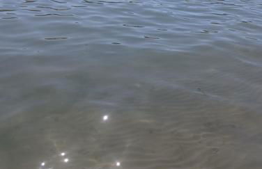 Atlantic Roseto sul mare - Foto 21