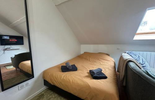 IMMEUBLE ST-PIERRE - GARE 10min - HORTILLONNAGES 5min - WIFI - TV HD - Foto 21