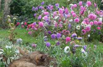 Anitas Landerlebnis - Foto 7