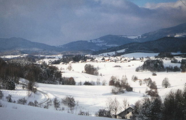 Chalet in Saldenburg Near Hiking Trails - Photo 26