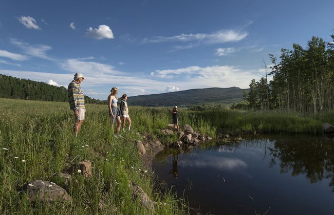 EML 8 Hubbard Park - Foto 17