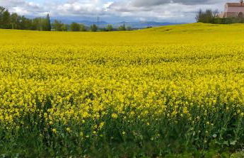 Apartamento Relax Cirueña Rioja Piscina Golf Esquí - Foto 35