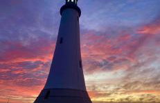 Hardy Hideaway - Foto 35